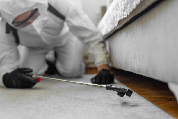 Professional Bed Bug Control technician working in Capitol Planning Region County, CT